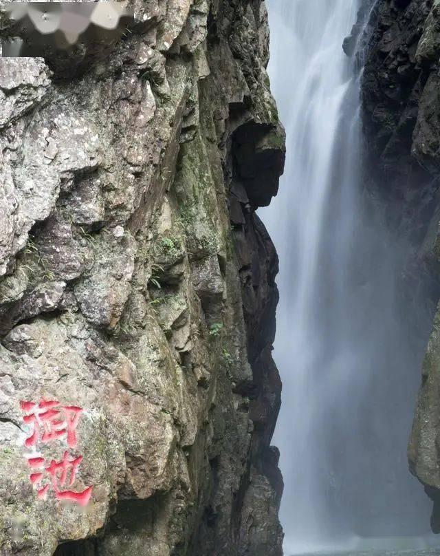 驱灵师