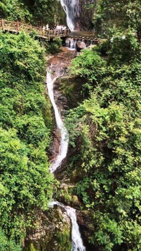 发挥“三个优势” 推动中医药产业创新发展